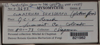 Image Associated With the Occurence